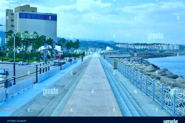 escort Donghae City