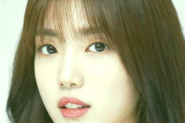escort Dongnae