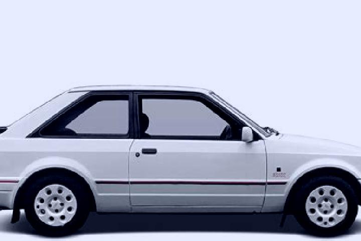 escort Dongshi
