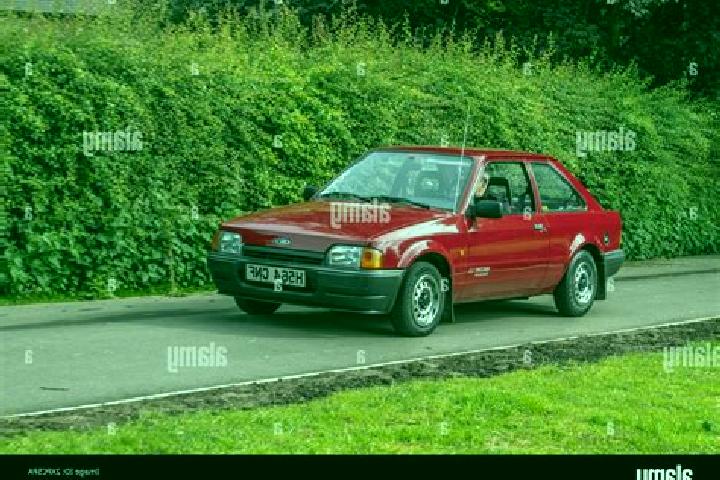 escort Dongyingfang