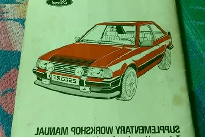 escort Donja Medida