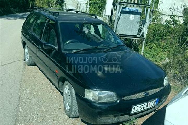 escort Donja Pusca