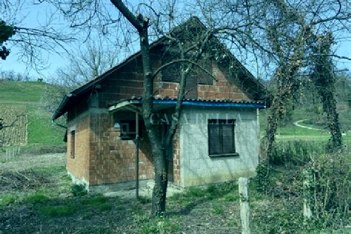 escort Donje Mrzlo Polje