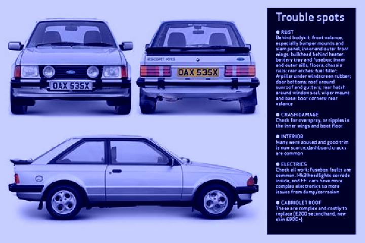 escort Donnybrook