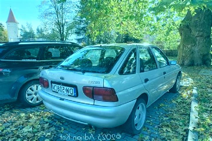 escort Doorn