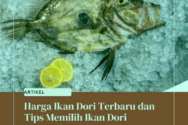 escort Dori