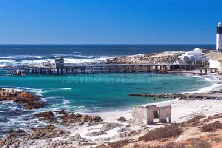 escort Doringbaai