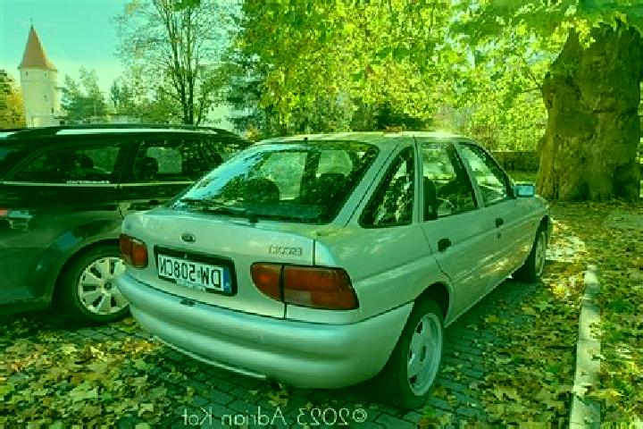 escort Dorohoi