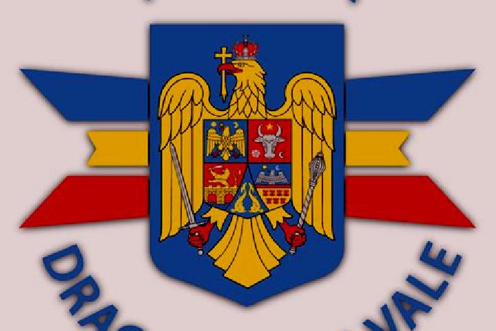 escort Dragomiresti-Vale