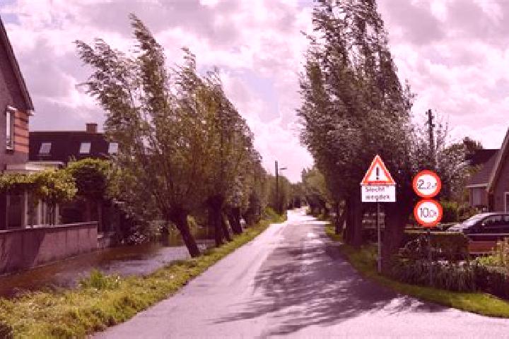 escort Driebruggen