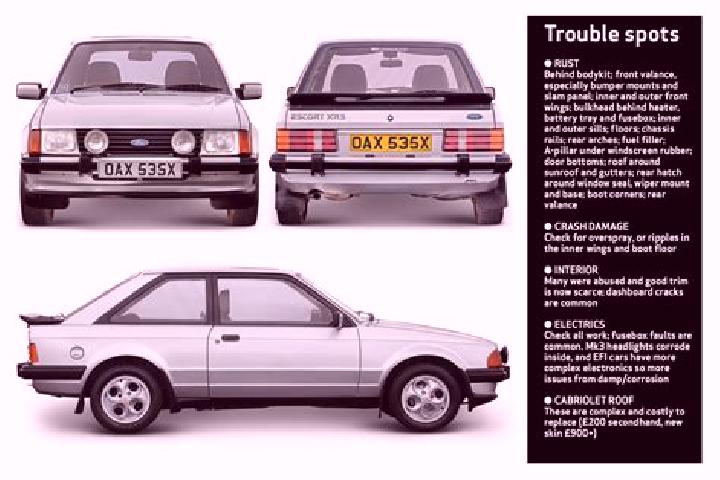 escort Driggs