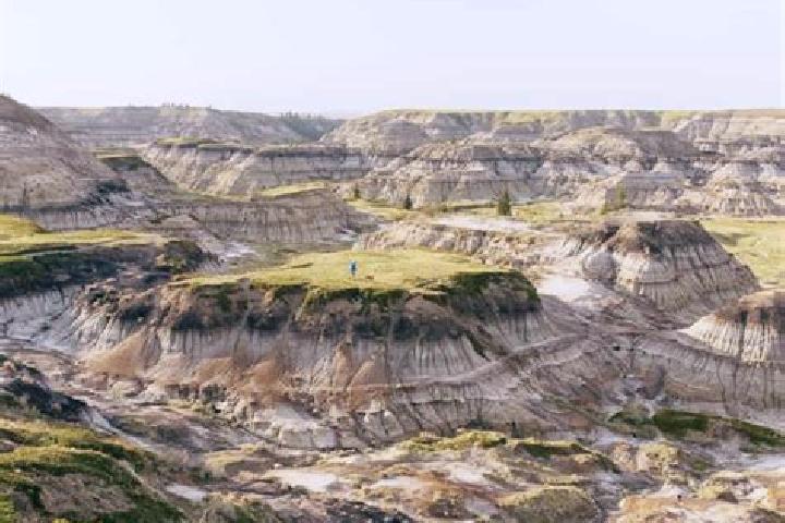 escort Drumheller