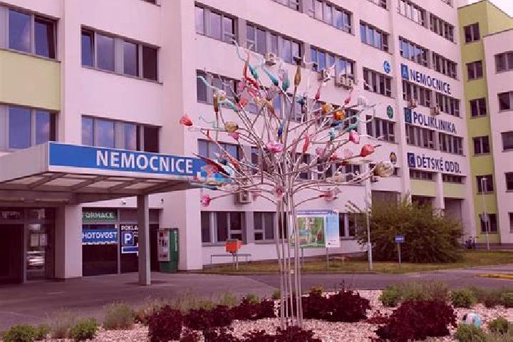 escort Dubna