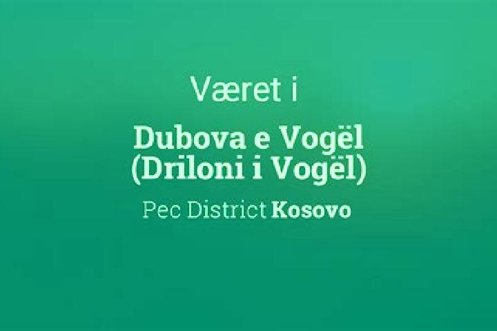 escort Dubova (Driloni)