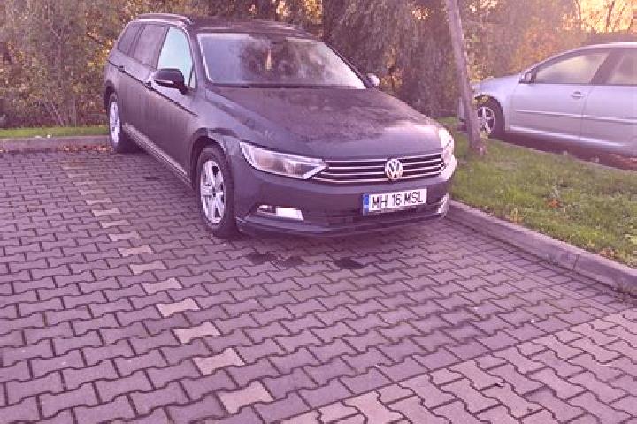 escort Dudasu Schelei