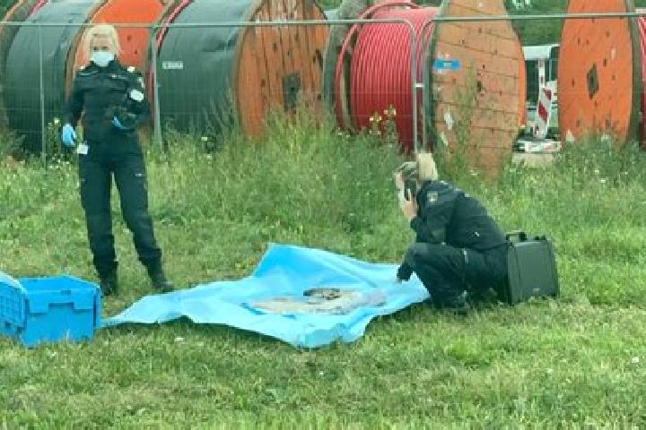 escort Duivendrecht