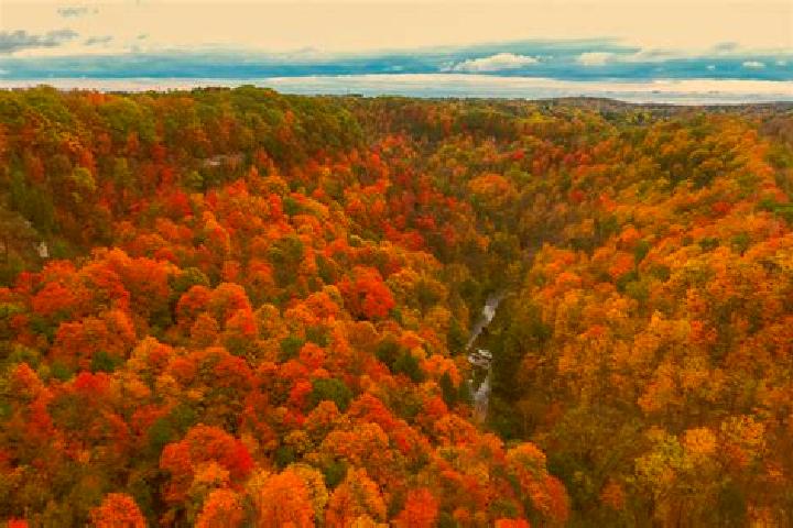 escort Dundas Valley