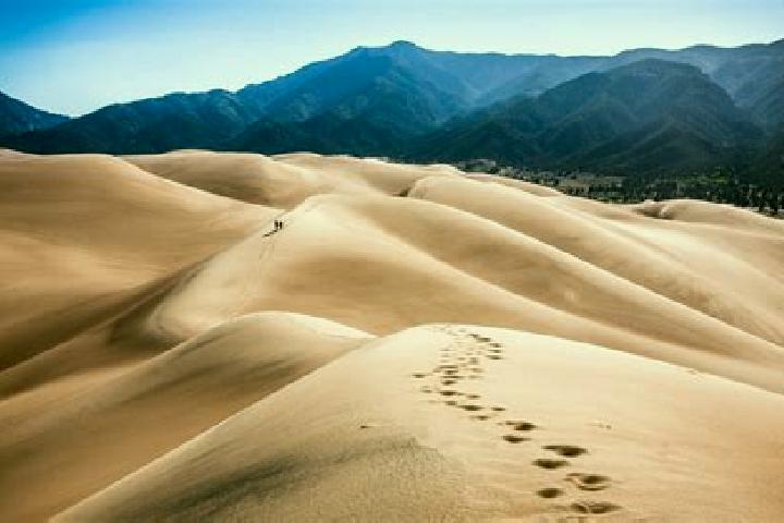 escort Dunes City