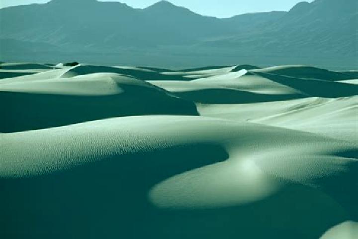 escort Dunes