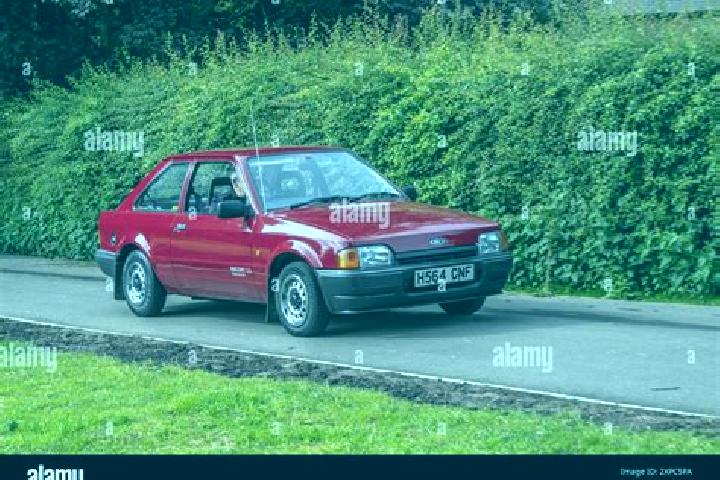 escort Durnford