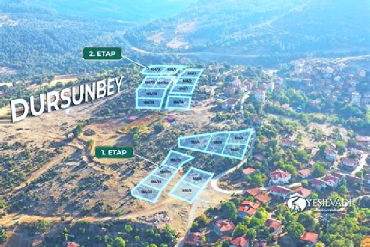 escort Dursunbey