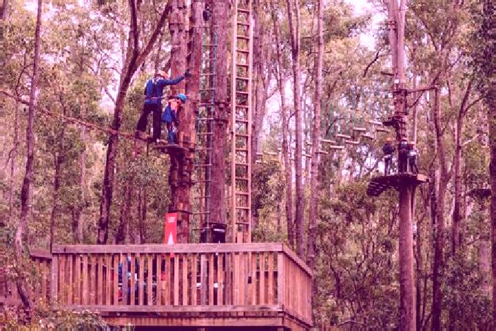 escort Dwellingup