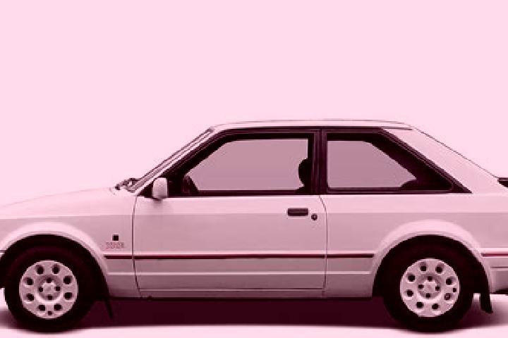 escort Dzikowiec