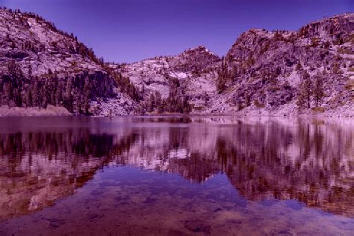 escort Eagle Lake