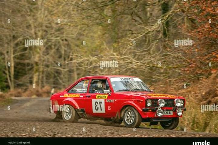 escort East Dean