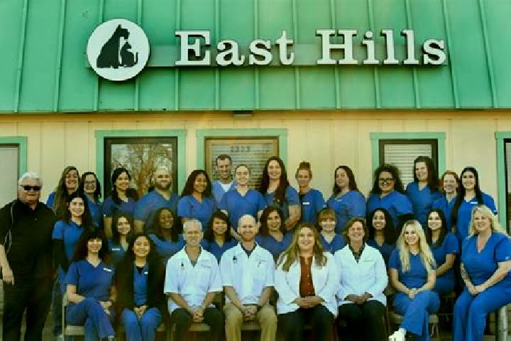 escort East Hills