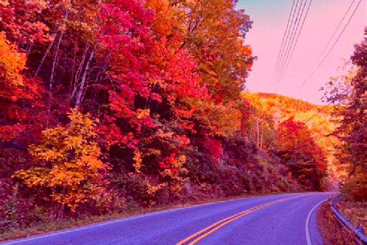 escort East Machias