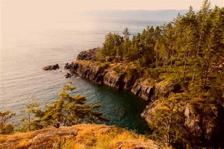escort East Sooke