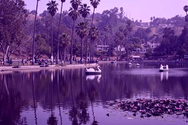 escort Echo Park