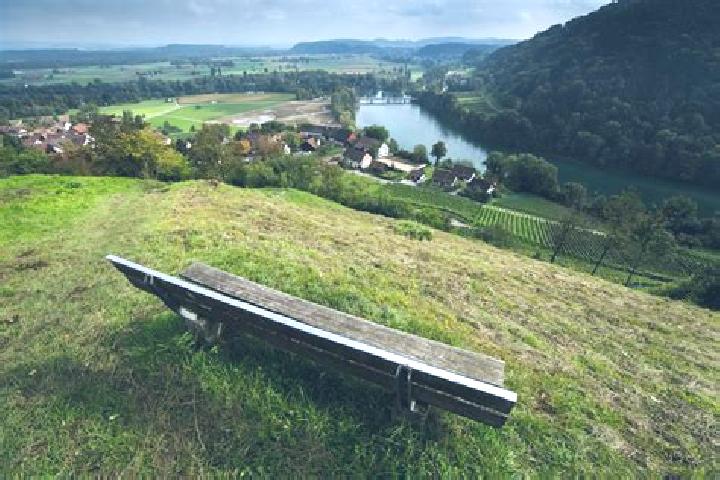 escort Effingen