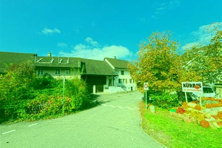 escort Ehrendingen