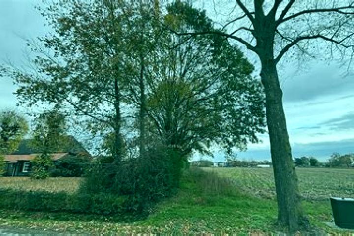 escort Eikenheuvel