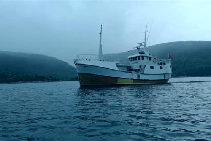escort Eivindvik