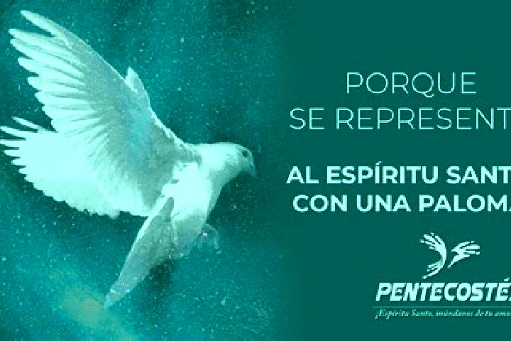escort Ejido la Paloma