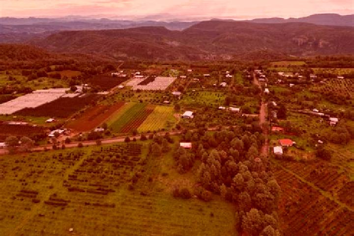 escort Ejido Tres Barrancas