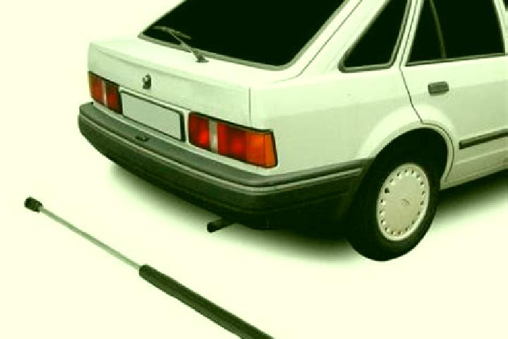 escort El Baul