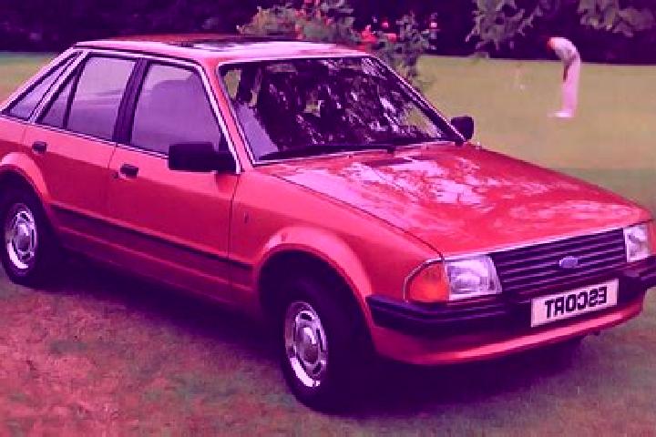 escort El Bosque