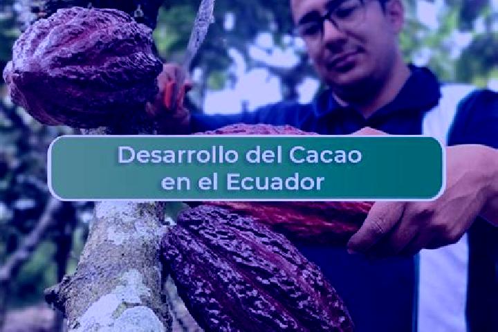 escort El Cacao
