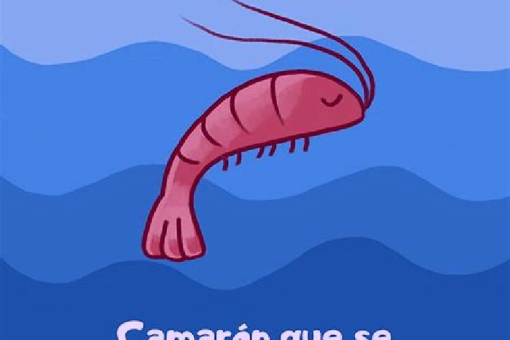 escort El Camaron