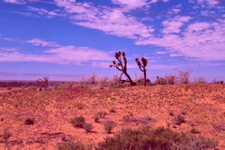 escort El Carmen (El Desierto del Carmen)