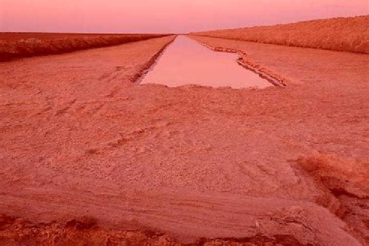 escort El-Hamma-Djerid