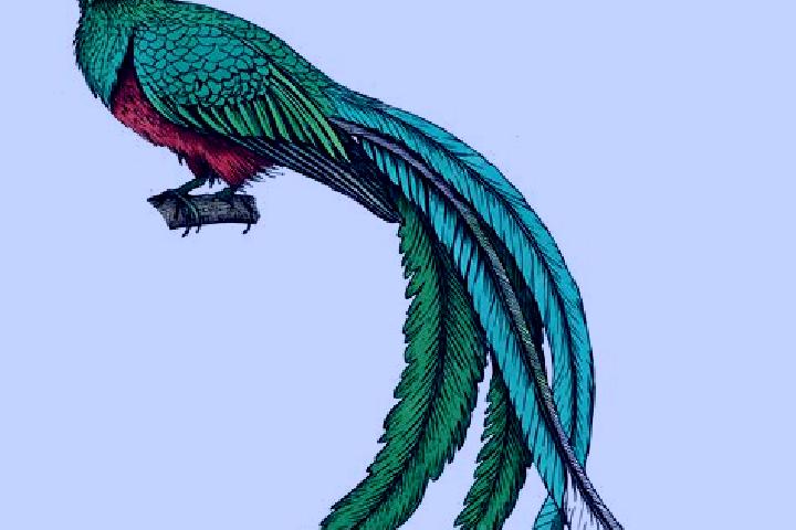 escort El Quetzal