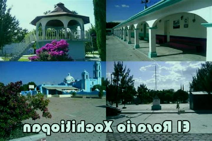 escort El Rosario Xochitiopan
