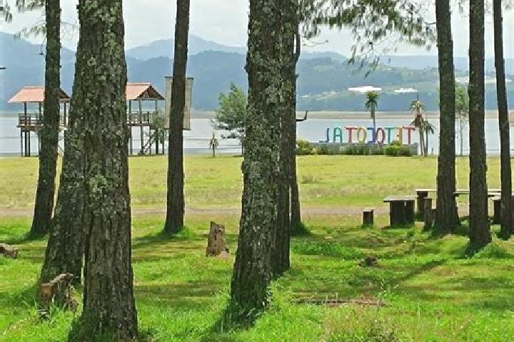 escort El Tejocotal
