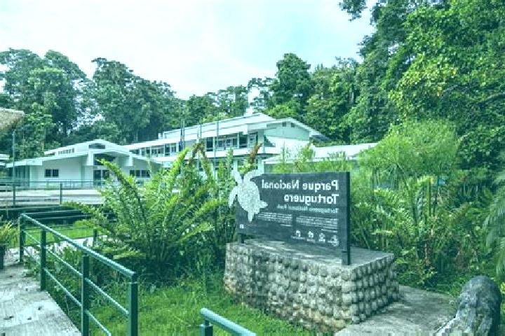 escort El Tortuguero
