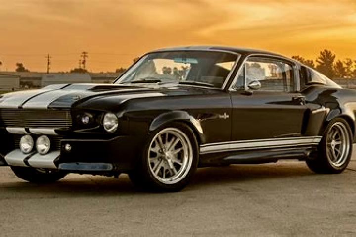 escort Eleanor